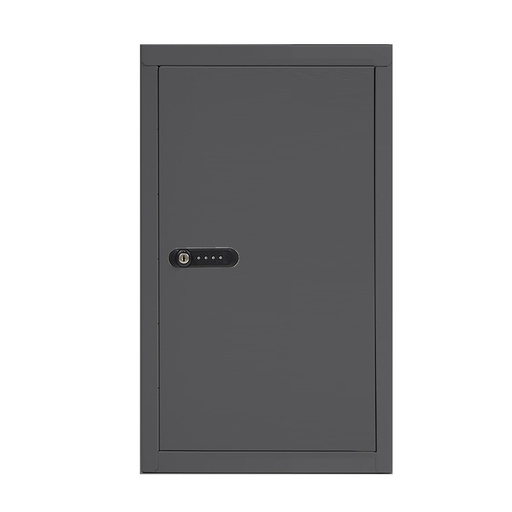 [050533] Armario para el almacenamiento de teléfonos móviles - Dim.: 200x285x500h mm - Gris