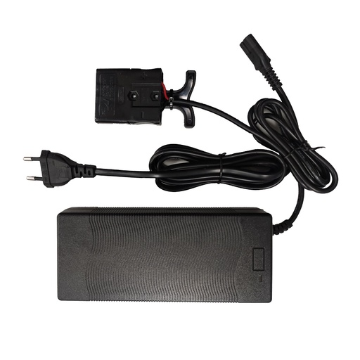 [049253] Cargador rápido de batería para transpaleta eléctrica