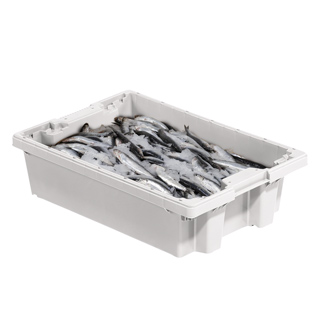 Almacenamiento / Cajas / Plásticas para alimentos / Industria pesquera