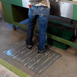 Seguridad y medio ambiente / Alfombras y suelos / Para la industria / Para Comercios