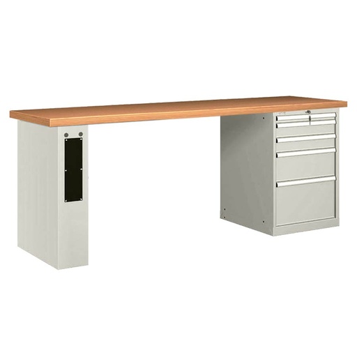 [026120] Banco de trabajo estándar - Dim.: 2500x750x890h mm - Encimera Multiplex, 1 pata de enlaces, 1 armario - Gris ral 7035